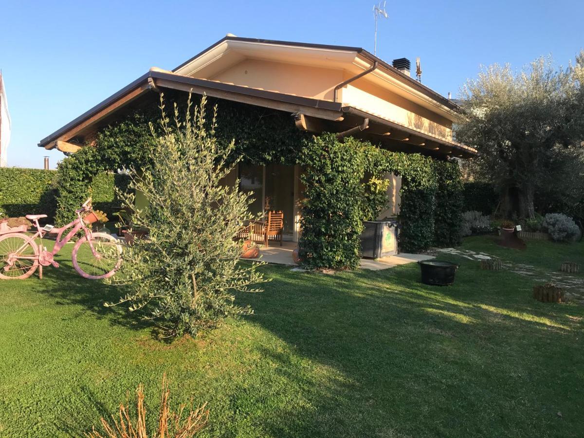 L' Ulivo Bed & Breakfast Teramo Exterior photo