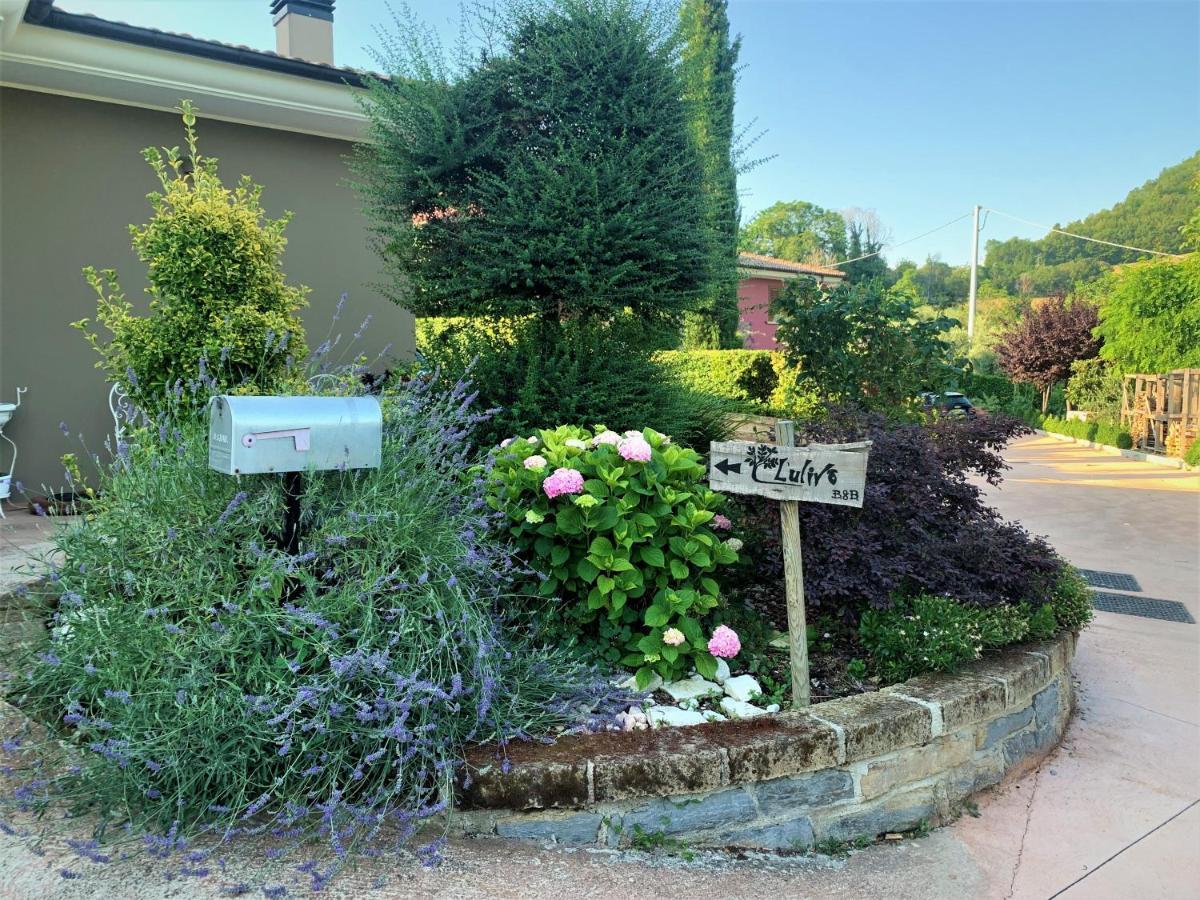 L' Ulivo Bed & Breakfast Teramo Exterior photo