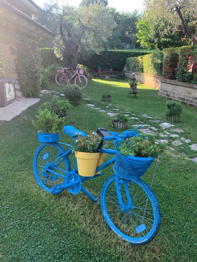 L' Ulivo Bed & Breakfast Teramo Exterior photo